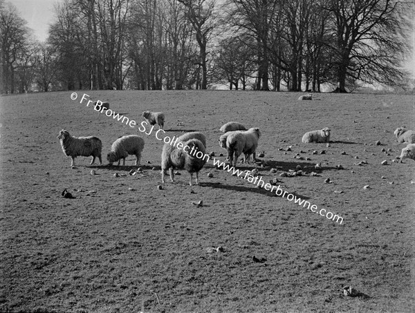 SPRINGTIME SCENES AT EMO COURT